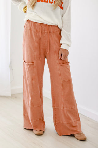 Express Yourself Mineral Wash Pants in Deep Camel
