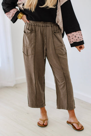 DayDream Believer Mineral Wash Pants in Mocha
