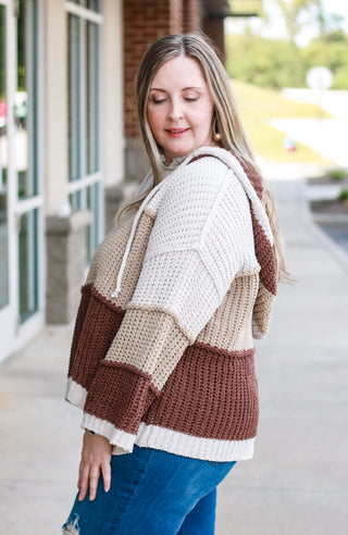 Conditioned to Care Cocoa Sweater