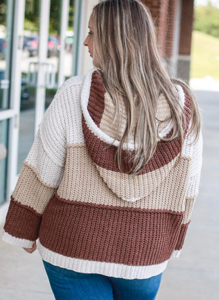 Conditioned to Care Cocoa Sweater