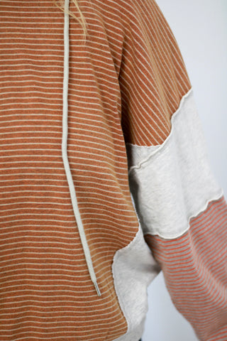 All For The Stripes Hoodie in Brick