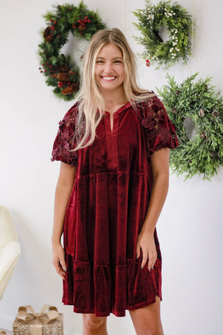 Sugar Plum Fairies Velvet Dress