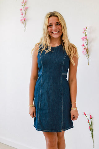 The DayDreamer Denim Dress
