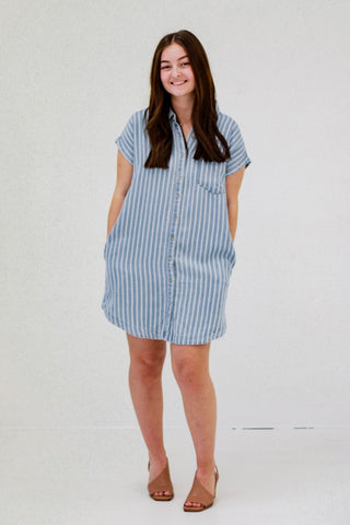 Willing to Dream Striped Denim Dress