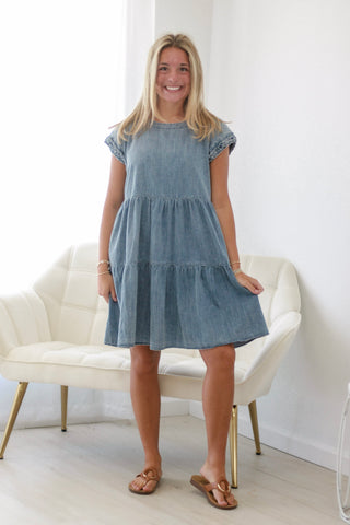 County Fair Denim Dress