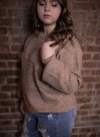 Winter Wishes Sweater- Light Brown