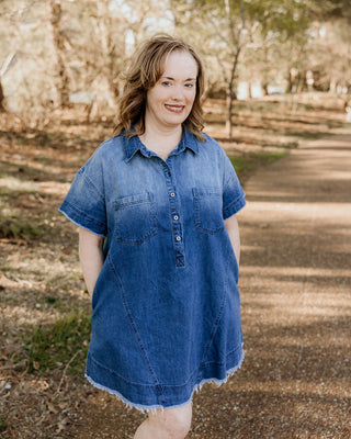 Don't Try to Stop Me Denim Dress