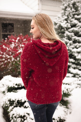 Keep Shining Hoodie In Winter Berry