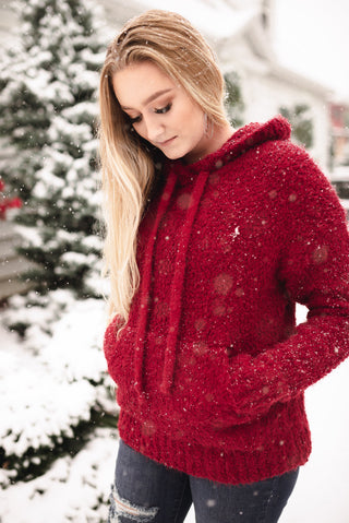 Keep Shining Hoodie In Winter Berry