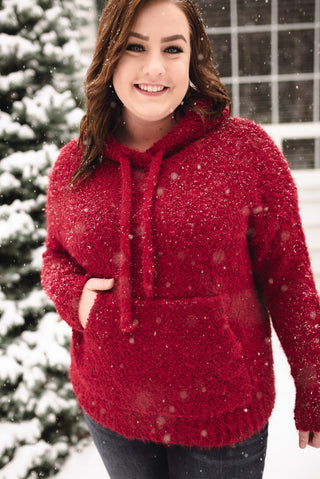 Keep Shining Hoodie In Winter Berry