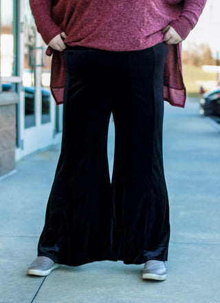 Smarty Pants Velvet in Black