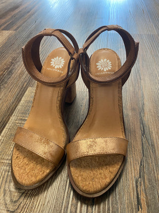 Yellowbox- Caikos- Chestnut