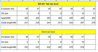 The Rachael Rainboot- Tall