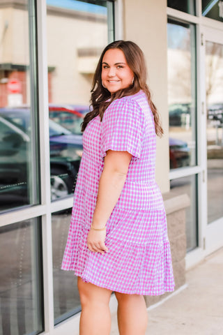 Gingham Girl Purple/Blue Dress
